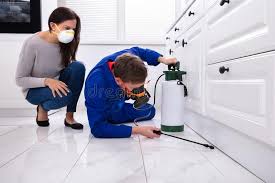 Professional Pest Control in Matteson, IL